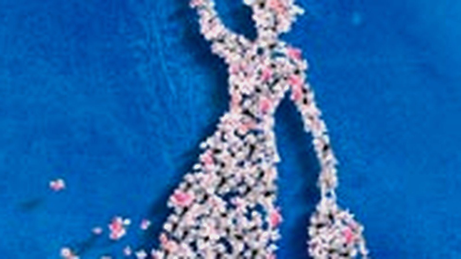 Mary Poppins at The Historic Theater at The Music Hall