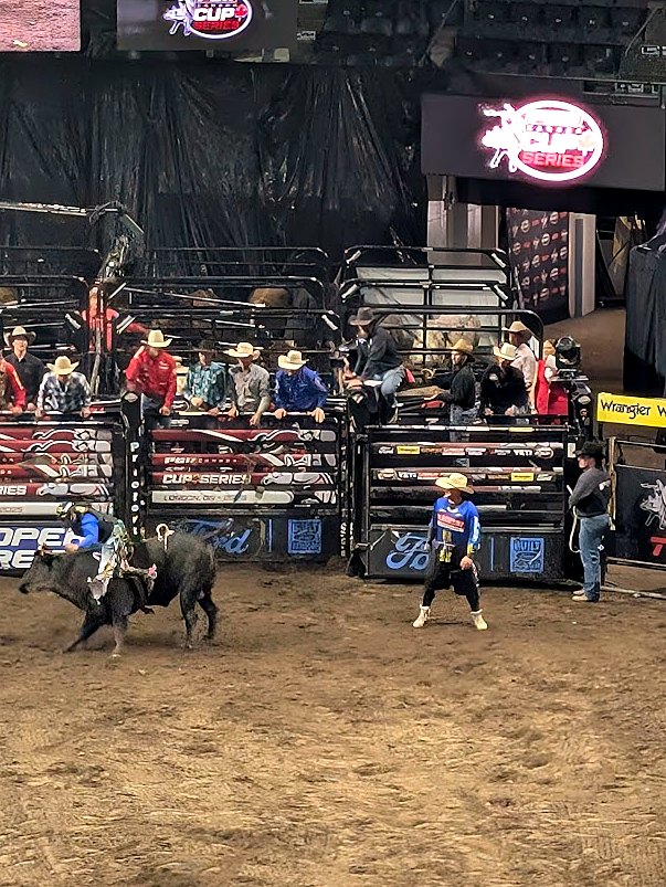 Pbr Professional Bull Riders at SaskTel Centre